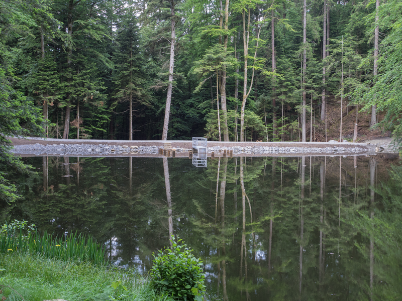 Ein ruhiger Teich in einem Wald reflektiert die umgebenden Bäume und eine kleine, mit Steinen gesäumte Staumauer.