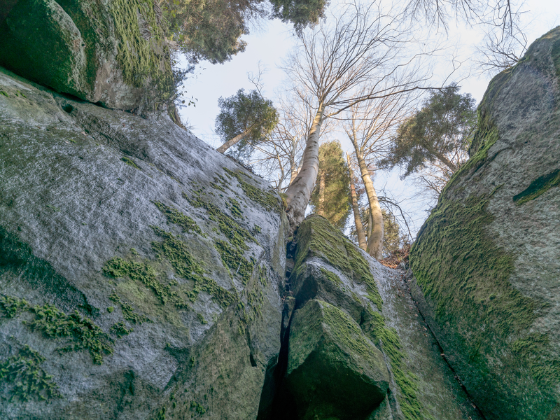 Blick von unten in eine enge Felsenschlucht mit moosbewachsenen Wänden und kahlen Bäumen, die in den Himmel ragen.
