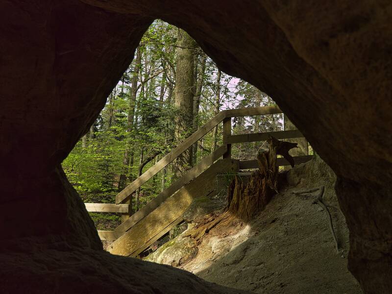 Der Blick aus einer Höhle zeigt eine hölzerne Treppe, die von grünen Bäumen umgeben ist.