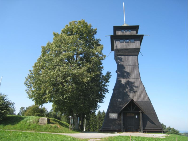 Ein hoher, hölzerner Aussichtsturm steht neben einem großen Baum vor klarem, blauem Himmel.