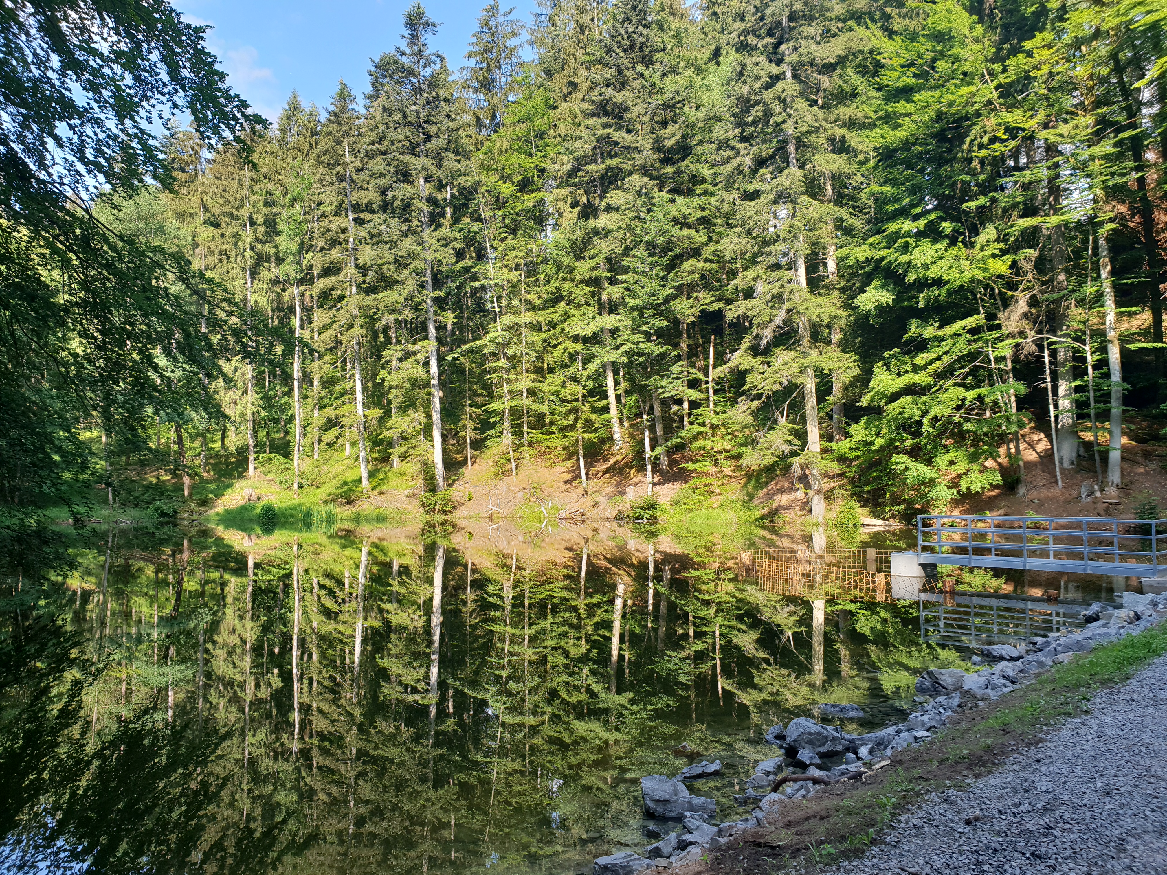 Ein dichter Wald mit hohen Bäumen spiegelt sich in einem ruhigen See, daneben verläuft ein Kiesweg mit einer kleinen Brücke.