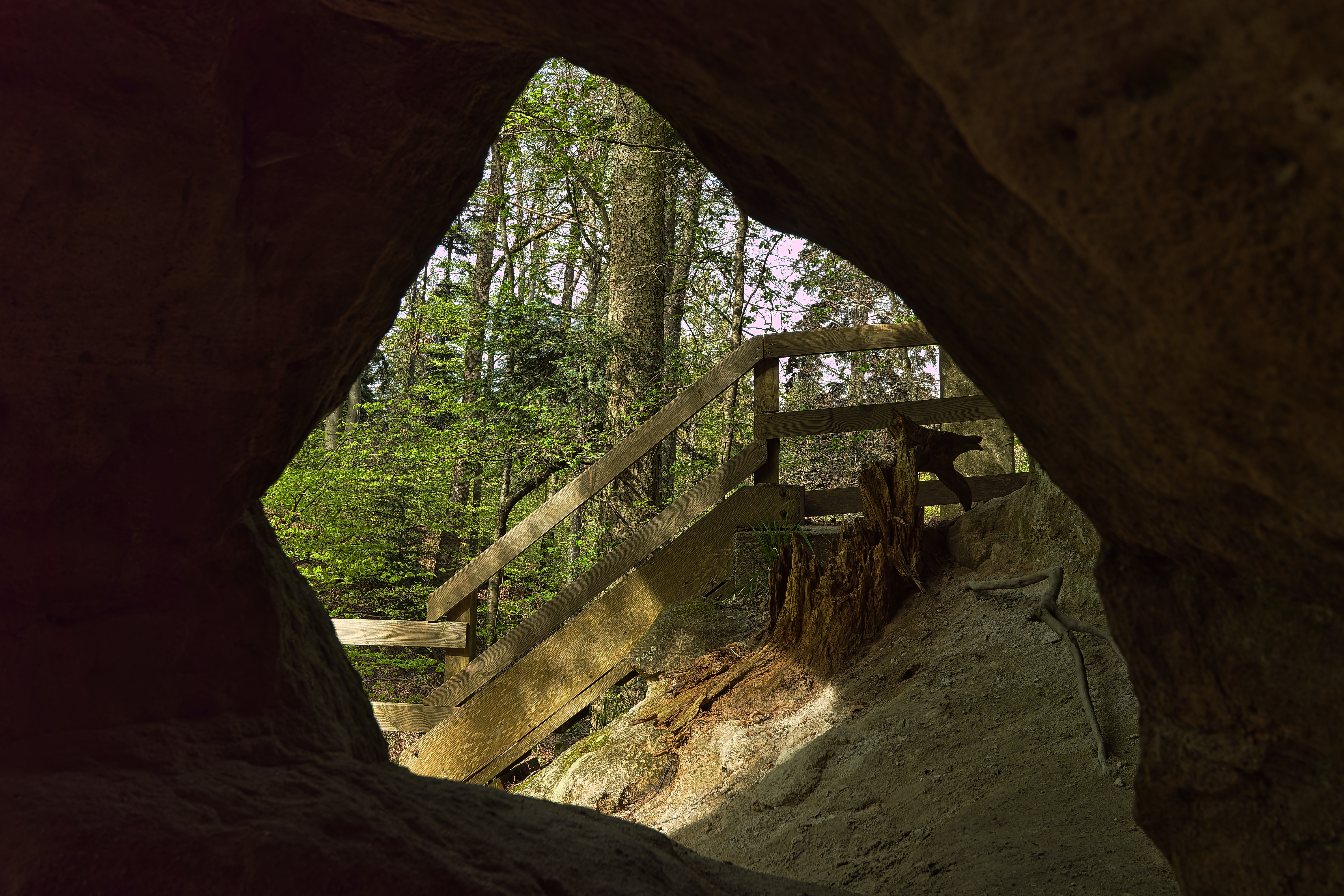 Der Blick aus einer Höhle zeigt eine hölzerne Treppe, die von grünen Bäumen umgeben ist.